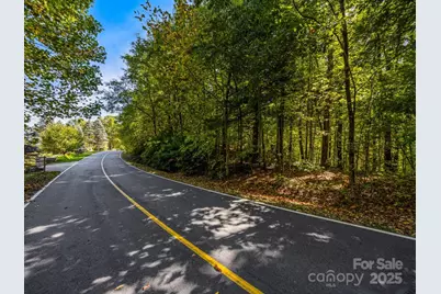 Lot 10 Berry Creek Drive, Flat Rock, NC 28731 - Photo 21