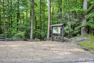 198 Ramblestone Ter, Boone, NC 28607 - Photo 37