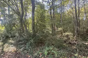 608 W Pine St, Blacksburg, SC 29702 - Photo 15