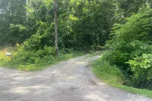 280 Walker St, Columbus, NC 28722 - Photo 37