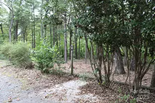 280 Walker St, Columbus, NC 28722 - Photo 47