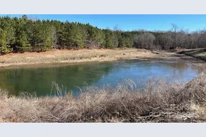 164 Blackburn Drive, Grover, NC 28073 - Photo 39