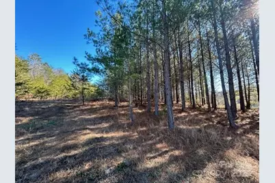 164 Blackburn Drive, Grover, NC 28073 - Photo 33