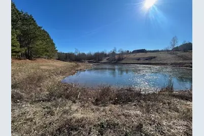 164 Blackburn Drive, Grover, NC 28073 - Photo 35