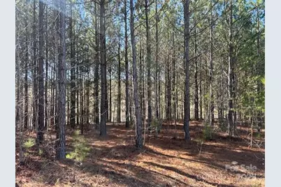 164 Blackburn Drive, Grover, NC 28073 - Photo 31