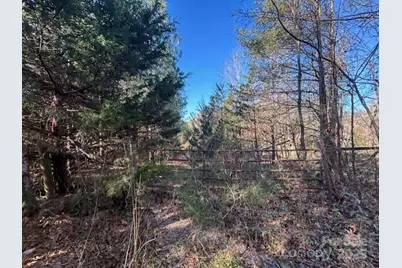 164 Blackburn Drive, Grover, NC 28073 - Photo 25