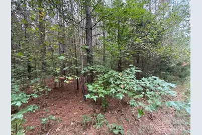 164 Blackburn Drive, Grover, NC 28073 - Photo 5