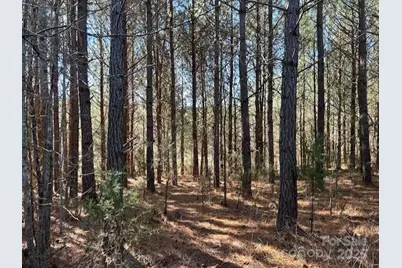 164 Blackburn Drive, Grover, NC 28073 - Photo 29