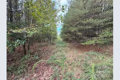 164 Blackburn Drive, Grover, NC 28073 - Photo 7