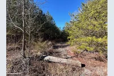 164 Blackburn Drive, Grover, NC 28073 - Photo 21