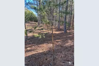 164 Blackburn Drive, Grover, NC 28073 - Photo 9