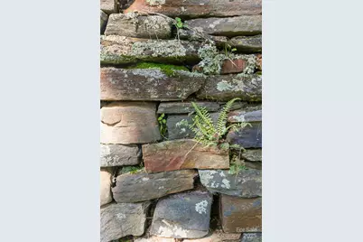 360 Banjo Branch Road, Burnsville, NC 28714 - Photo 45