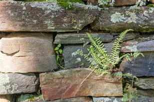 360 Banjo Branch Rd, Burnsville, NC 28714 - Photo 45