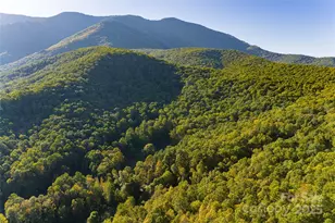 360 Banjo Branch Rd, Burnsville, NC 28714 - Photo 9