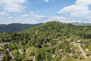 303 Country Club Rd, Asheville, NC 28804 - Photo 37