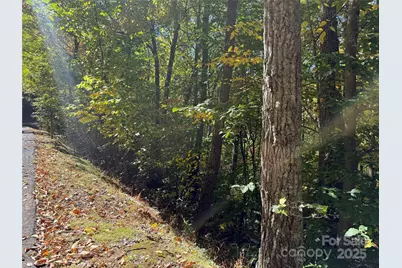 Lot 12 Heritage Ridge Loop, Burnsville, NC 28714 - Photo 9