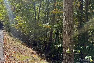 Lot 12 Heritage Ridge Loop, Burnsville, NC 28714 - Photo 9