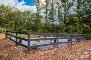 4575 Cureton Ferry Rd, Catawba, SC 29704 - Photo 37