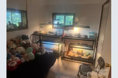 677 Mount Olivet Road, Zirconia, NC 28790 - Photo 9