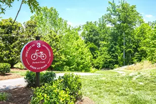 7019 Hamilton Mill Dr, Waxhaw, NC 28173 - Photo 47