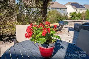 7019 Hamilton Mill Dr, Waxhaw, NC 28173 - Photo 33