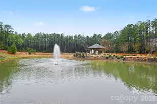 6302 Chimney Bluff Rd, Lancaster, SC 29720 - Photo 45