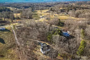 771 Olivette Rd, Asheville, NC 28804 - Photo 7