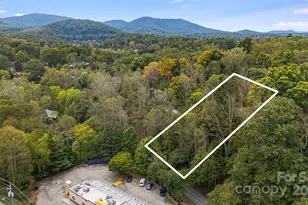 455 Governors View Rd, Asheville, NC 28805 - Photo 1