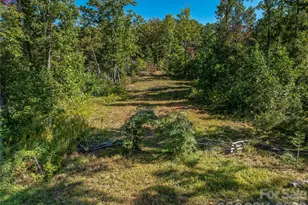 382 Black Oak Cove Rd, Candler, NC 28715 - Photo 45