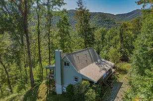 382 Black Oak Cove Rd, Candler, NC 28715 - Photo 43