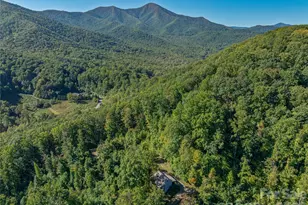 382 Black Oak Cove Rd, Candler, NC 28715 - Photo 45