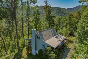 382 Black Oak Cove Rd, Candler, NC 28715 - Photo 3