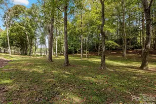 5619 Mountain Point Ln, Charlotte, NC 28216 - Photo 43