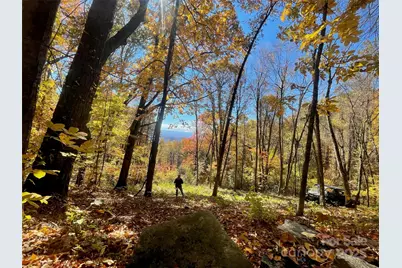 00000 New Sprout Lane #1, Hendersonville, NC 28792 - Photo 1