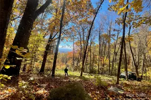00000 New Sprout Ln, Hendersonville, NC 28792 - Photo 1