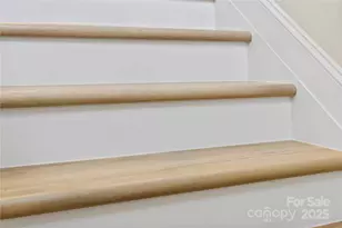 3030 Cunningham Farm Dr, Indian Trail, NC 28079 - Photo 9