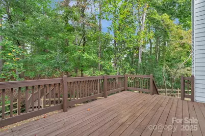 3109 Savannah Hills Drive, Matthews, NC 28105 - Photo 41