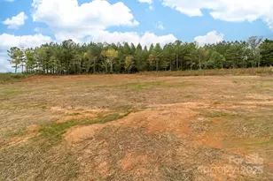 6203 Flay Rd, Cherryville, NC 28021 - Photo 11