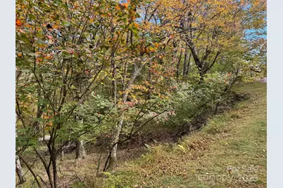 92 Goldenleaf Drive, Mars Hill, NC 28754 - Photo 3