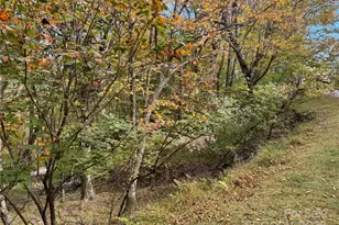 92 Goldenleaf Dr, Mars Hill, NC 28754 - Photo 3