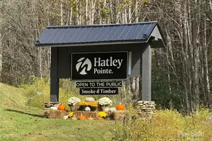 92 Goldenleaf Dr, Mars Hill, NC 28754 - Photo 21