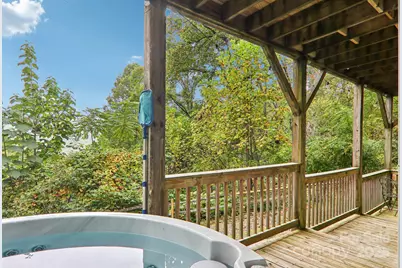 311 Jacks Knob Road, Barnardsville, NC 28709 - Photo 45