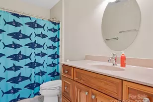 15 Ozark Spring Ln, Asheville, NC 28805 - Photo 35