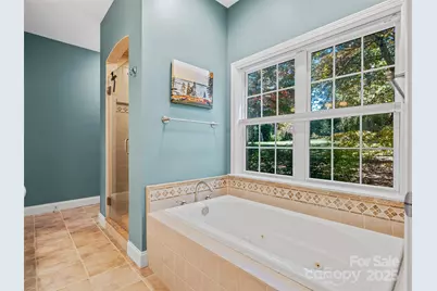 15 Ozark Spring Lane, Asheville, NC 28805 - Photo 19