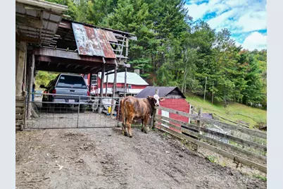 105 Home Place Road, Maggie Valley, NC 28751 - Photo 19