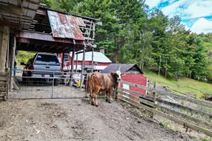 105 Home Place Rd, Maggie Valley, NC 28751 - Photo 19