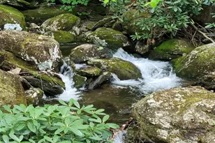 1396 Winter Star Rd, Burnsville, NC 28714 - Photo 43