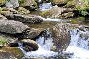 1396 Winter Star Rd, Burnsville, NC 28714 - Photo 45