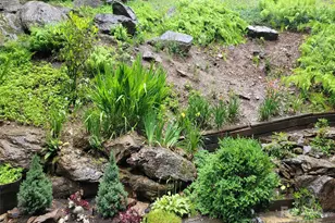 1396 Winter Star Rd, Burnsville, NC 28714 - Photo 47