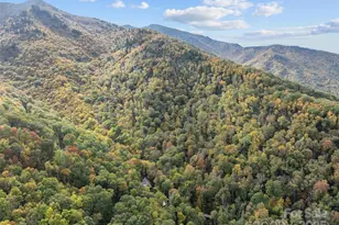 1396 Winter Star Rd, Burnsville, NC 28714 - Photo 19